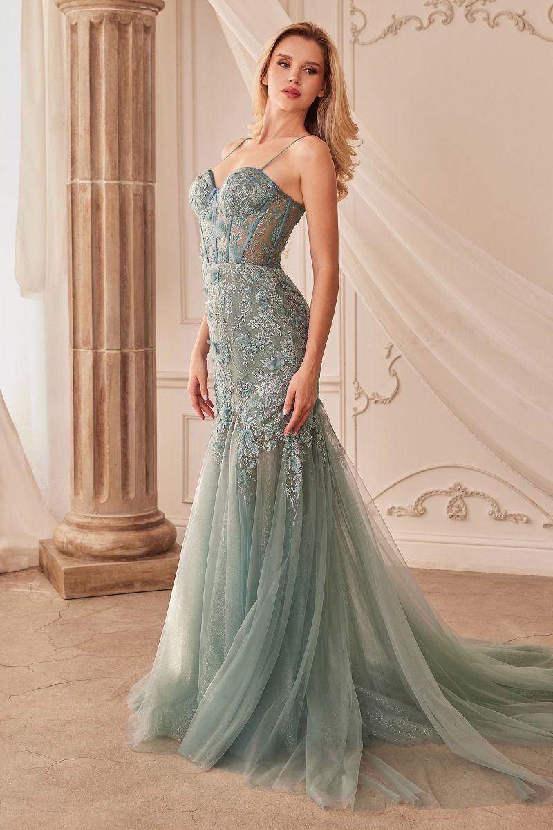Fit & Flare Embellsihed Gown